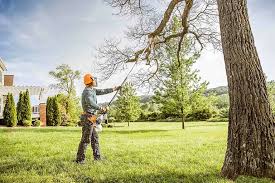 Best Leaf Removal  in Brewerton, NY