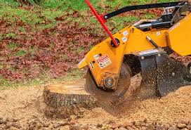 Best Seasonal Cleanup (Spring/Fall)  in Brewerton, NY